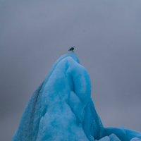 Айсберг :: Георгий А Айсберг :: Георгий А