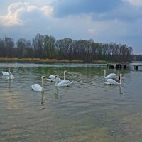 .... :: Галина 