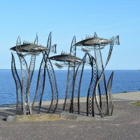 Петрозаводск :: Николай Петрозаводск :: Николай