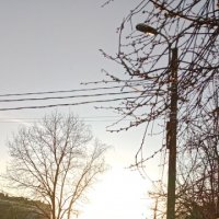 Вечернее солнце :: Nadezhda Philatova