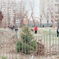 Школота на субботнике. :: Игорь Солдаткин