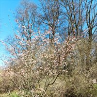 Апрель :: Veera V