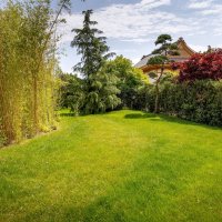 Парк Галицкого. Краснодар :: Андрей Lyz Парк Галицкого. Краснодар :: Андрей Lyz