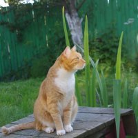 Встреча с непознанным :: Сергей Швечков