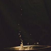 Брызги :: Giant Tao /