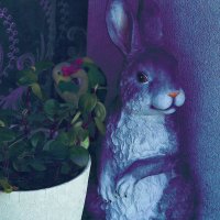 Пасхальный заяц :: Юрий Гайворонскiий Пасхальный заяц :: Юрий Гайворонскiий