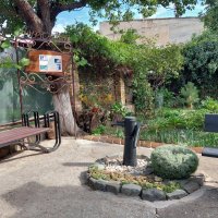 Во дворе музея Александра Грина :: ИРЭН@ .