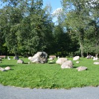 Петрозаводск. Сад камней в парке "Ямка" :: Николай 
