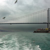 Босфор :: skijumper Иванов