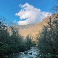 Бурлит река :: Георгиевич 