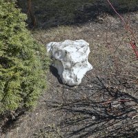 Спрятался :: Валерий Иванович