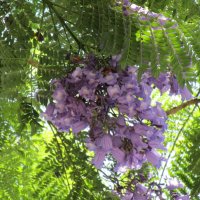 Мармарис  июнь  Турция :: Елена Шаламова