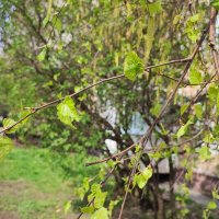 ,,, :: Сергей Тимоновский