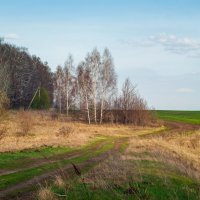 Весна :: Дмитрий Ряховский