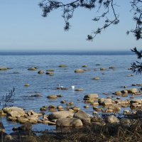 весна :: ИННА ПОРОХОВА