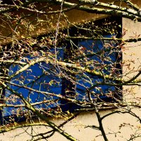 Весенние зарисовки 88 :: Алексей Кузнецов