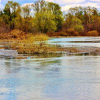 И снова я зову вас на Хопёр! :: Восковых Анна Васильевна И снова я зову вас на Хопёр! :: Восковых Анна Васильевна
