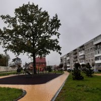 Гусев :: Галина Минчук