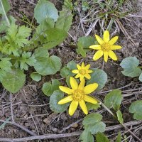 Папа, мама и я - дружная семья :: Валерий Иванович