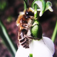 Отдыхает :: Людмила Смородинская