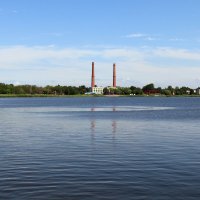 На заливе :: Ольга 