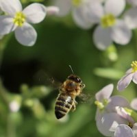 Полетелиии... :: Александр Кондаков