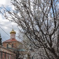 Весна на ул. 25 Октября :: Татьяна Машошина