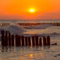 Утро :: Юрий. Шмаков