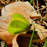 из снятого сегодня 7 :: Александр Прокудин