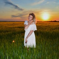 Портрет на пшеничном поле :: Виктор Скаков