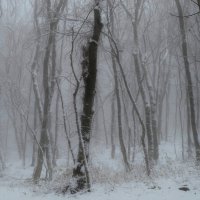 Метель..,.. :: Юрий Цыплятников