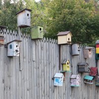 Общежитие :: Дмитрий Петров Общежитие :: Дмитрий Петров