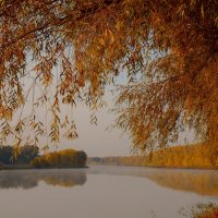 У реки тишина не шелохнется... :: Надежда Борисенко