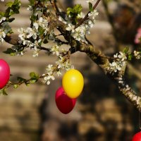 Пасхальное воскресение :: Юрий. Шмаков