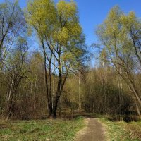 В моём храме :: Андрей Лукьянов