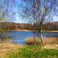 Весенняя природа Смоленщины. :: Милешкин Владимир Алексеевич Весенняя природа Смоленщины. :: Милешкин Владимир Алексеевич