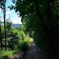 Чебоксары. Дорога вдоль леса в Сургутском овраге. :: Пётр Чернега