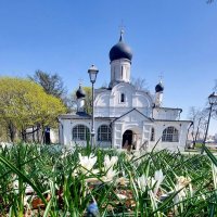 Весна в Зарядье :: ИРЭН@ .
