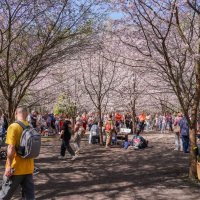В весеннем парке... :: Владимир Жданов В весеннем парке... :: Владимир Жданов