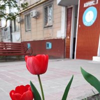,,, :: Сергей Тимоновский