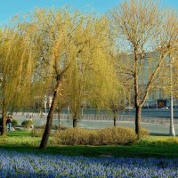 Лето в апреле. :: Татьяна Помогалова Лето в апреле. :: Татьяна Помогалова