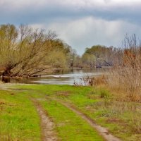 Дорога вдоль берега Хопра. :: Восковых Анна Васильевна Дорога вдоль берега Хопра. :: Восковых Анна Васильевна