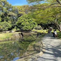 В весеннем парке (Токио) :: Елена 