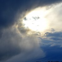 Иду на грозу :: Татьяна Лютаева