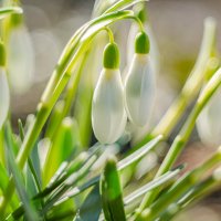 Солнечный день... :: Александр Филатов