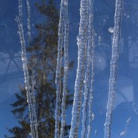 Взгляд из геокупола :: Ольга 