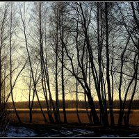 *** :: Aleksandr Gal