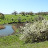 Местная река. :: Виктор Местная река. :: Виктор