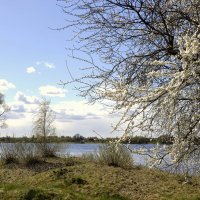 Весна :: Aleksandr Gal