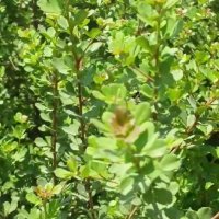 111 (24) :: СТРЕН 